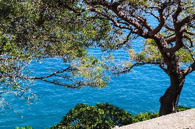 French Riviera Vacation Rentals